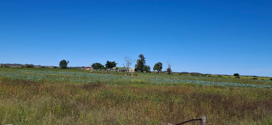 3 Bedroom Property for Sale in Bloemfontein Rural Free State